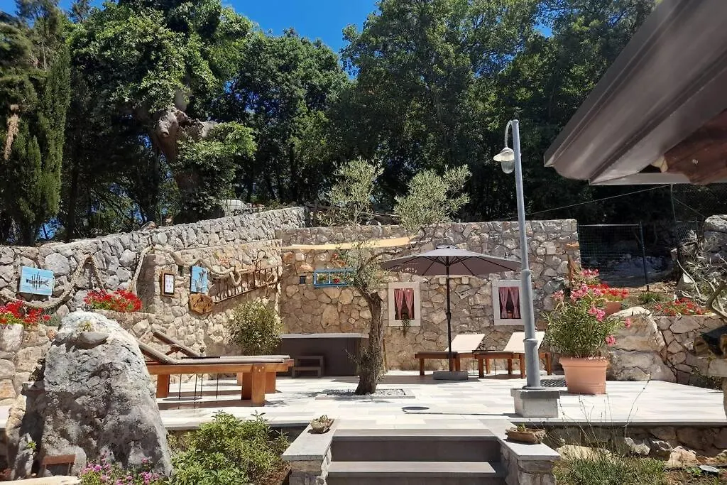 Holiday House - Old Olive Porozina 0*,